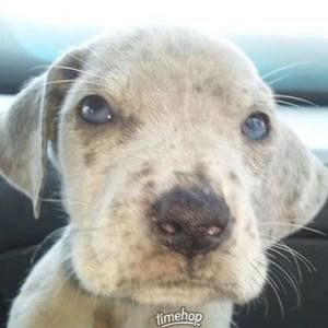 Meet your Posher, Crissy